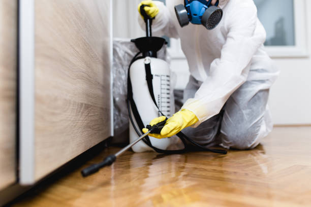 Best Best Pest Control Companies  in Pickens, MS