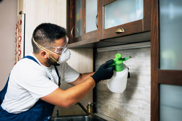 Best Flea Control Services  in Pickens, MS