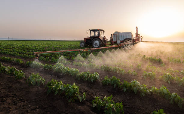 Best Pest Removal Services  in Pickens, MS
