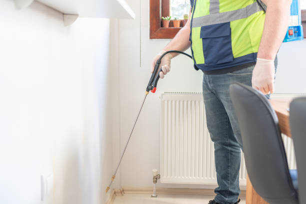 Wasp Removal Services in Pickens, MS