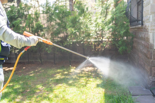 Best Commercial Pest Control Services  in Pickens, MS