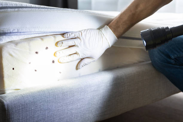 Best Pest Control Near Me  in Pickens, MS